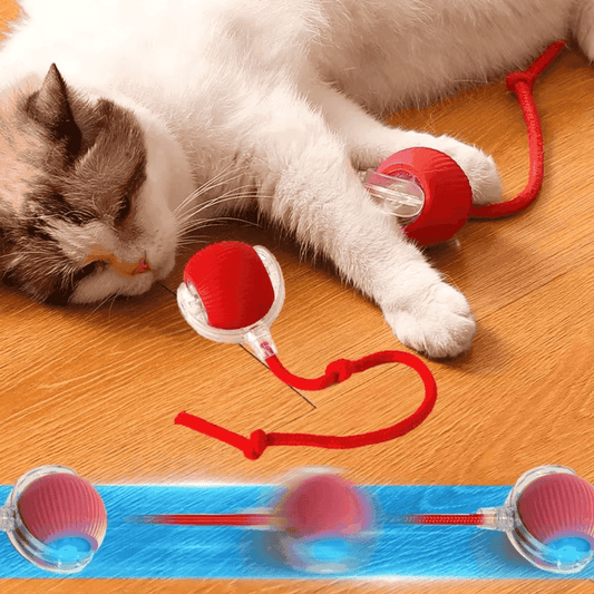 2 Packs Self-Moving Cat Toy Ball – 360° Auto-Rolling, Smart Interactive Pet Ball for Indoor Cats & Small Dogs