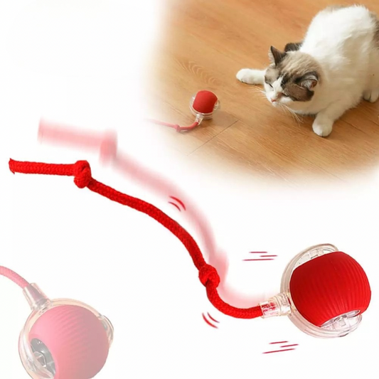 Pet Interactive Smart Ball – Rechargeable Rolling Toy for Cats and Dogs for Active Play and Exercise