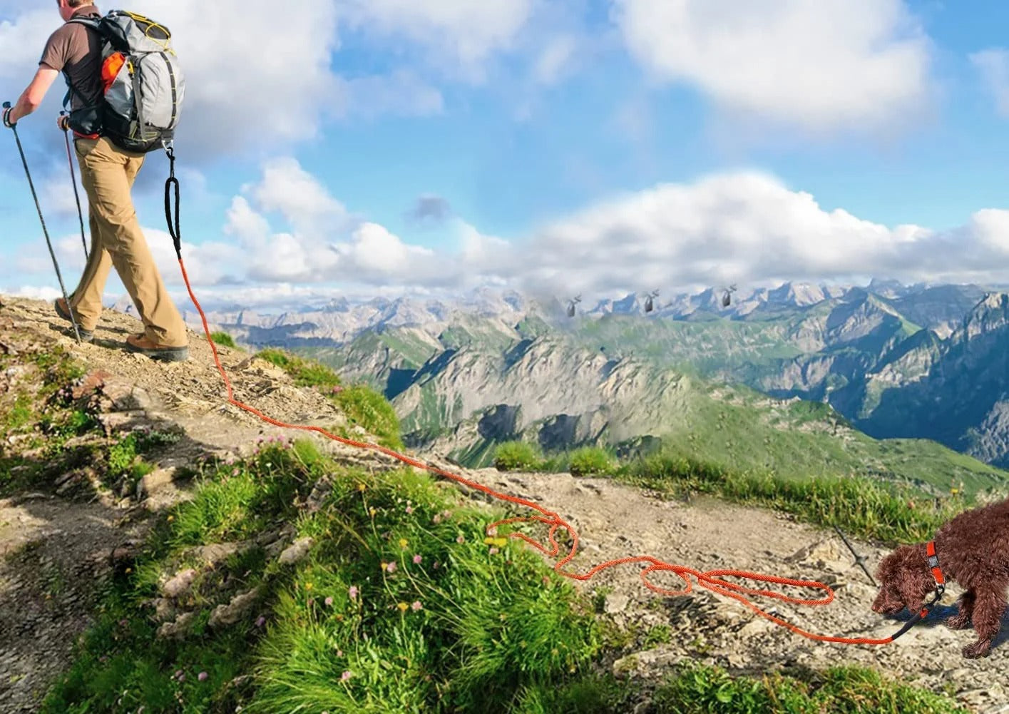 Adjustable 30FT Long Dog Training Leash with Reflective Padded Handle, Durable Tie-Out Rope for Puppies and Small Dogs Outdoor Recall Exercise and Walking Control