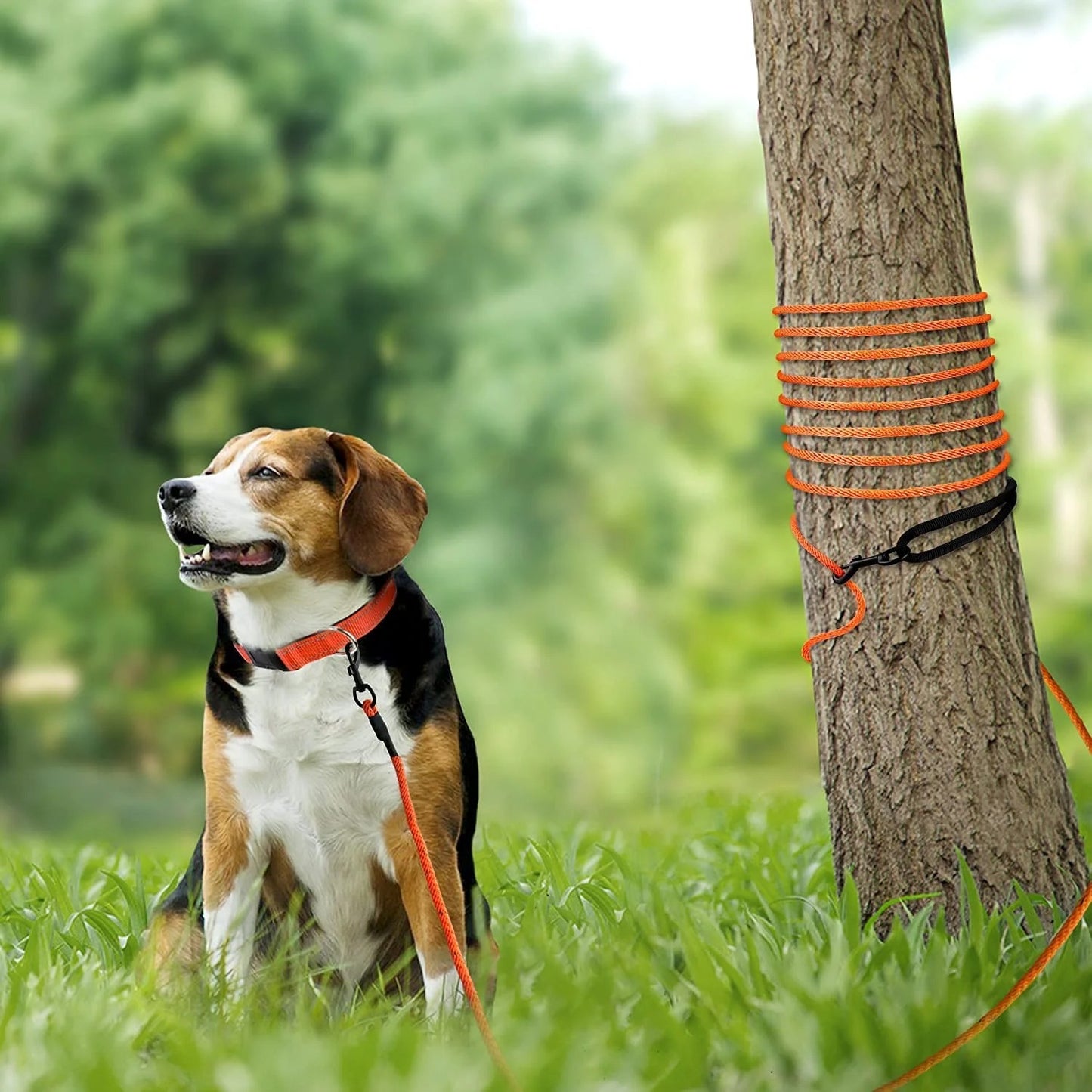Adjustable 30FT Long Dog Training Leash with Reflective Padded Handle, Durable Tie-Out Rope for Puppies and Small Dogs Outdoor Recall Exercise and Walking Control