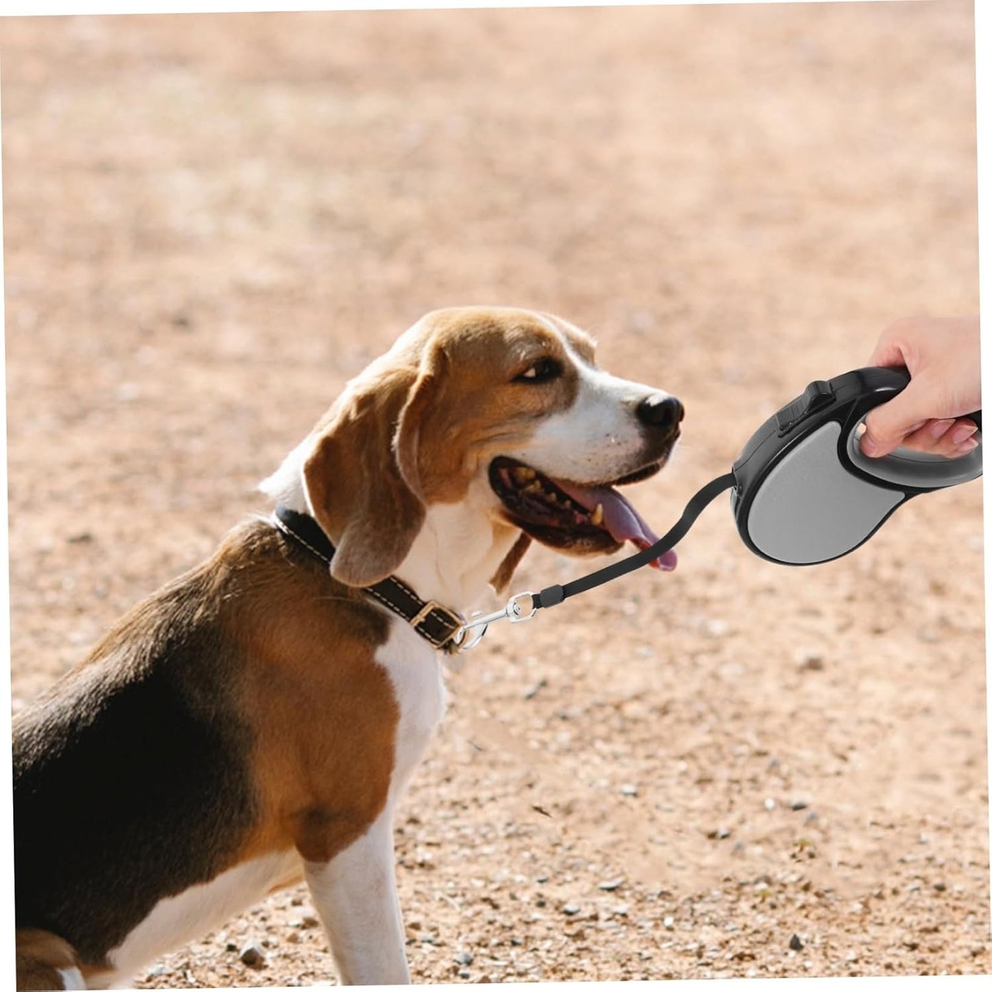 5M Retractable Dog Training Leash with One-Hand Brake System, Automatic Extend Tie-Out Lead for Puppies, Small Dogs and Cats Outdoor Walking Control