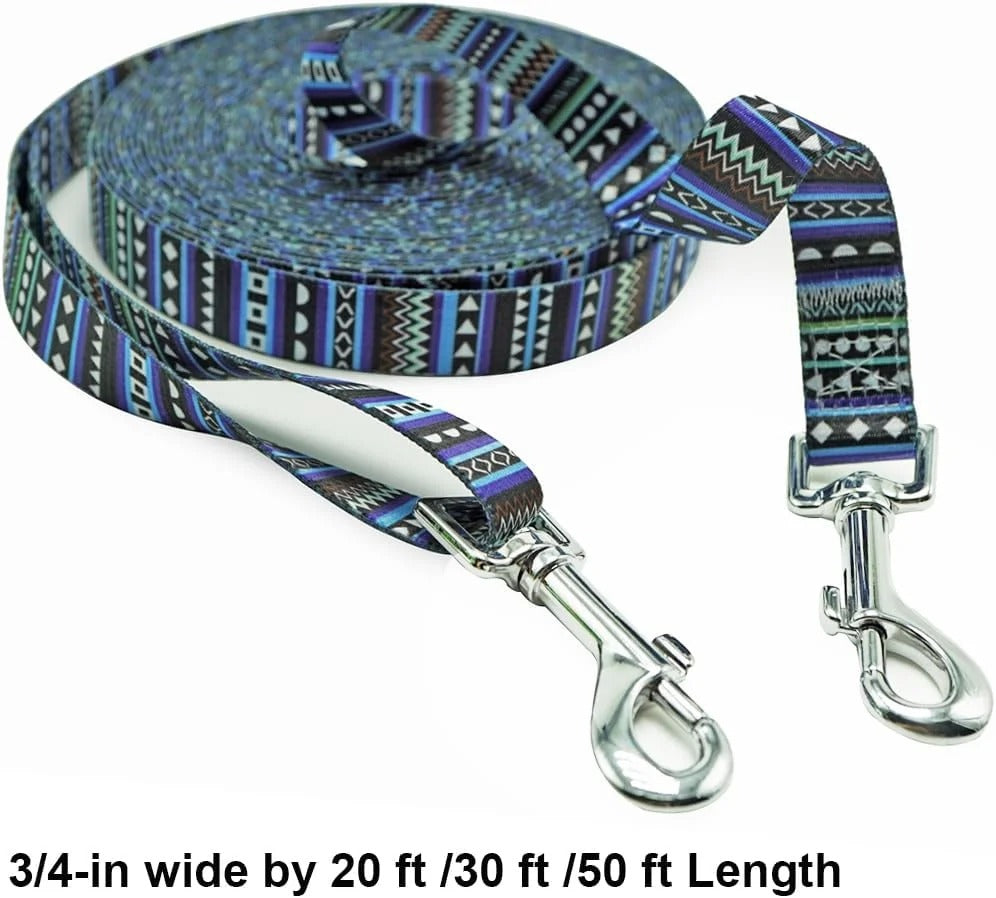 20FT Long Nylon Dog Training Leash for Obedience Recall and Agility Practice, Heavy Duty Tie Out Lead for Medium and Large Dogs Yard and Outdoor Use