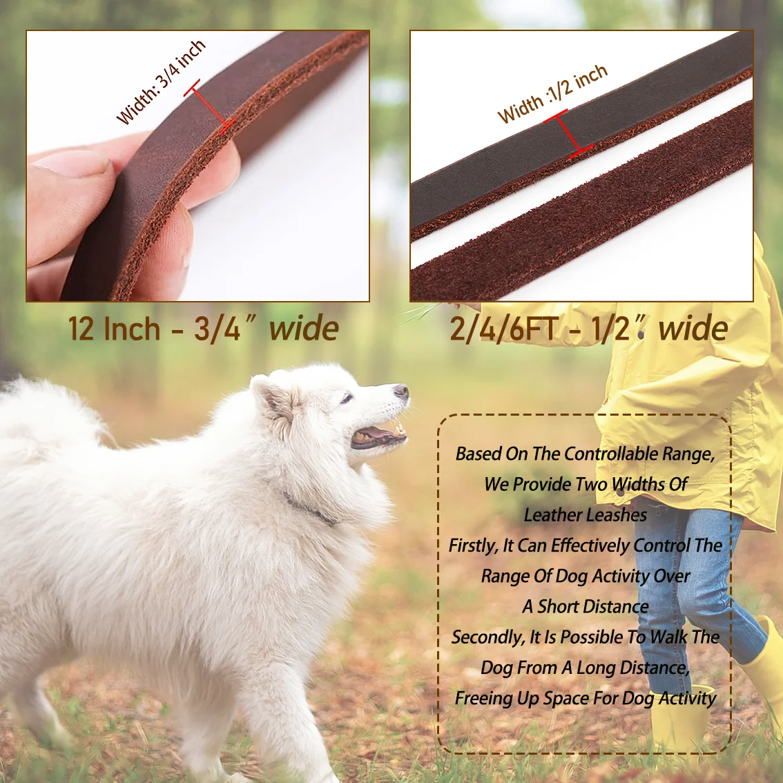 2FT Short Leather Dog Training Leash Heavy Duty Control Lead, 1/2 Inch Wide Full Grain Leather Walking Leash for Small Medium and Large Dogs