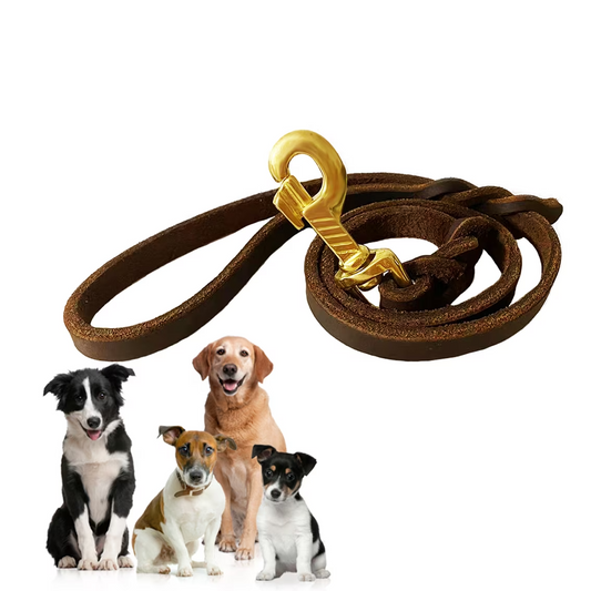 2FT Short Leather Dog Training Leash Heavy Duty Control Lead, 1/2 Inch Wide Full Grain Leather Walking Leash for Small Medium and Large Dogs