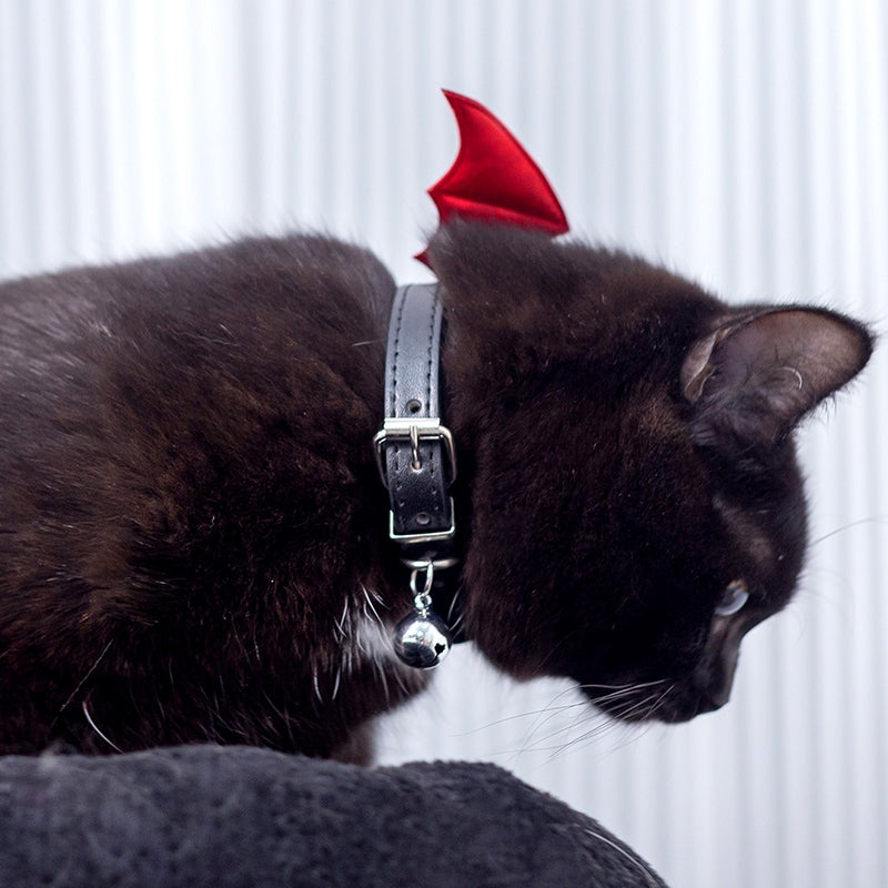 Stylish Devil Wing Cat and Human Collar – Adjustable Patent Leather Pet Accessory for Matching Outfits
