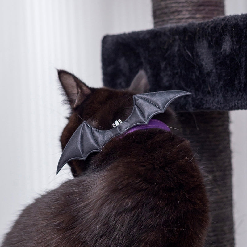 Stylish Devil Wing Cat and Human Collar – Adjustable Patent Leather Pet Accessory for Matching Outfits