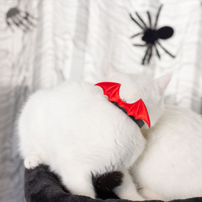 Stylish Devil Wing Cat and Human Collar – Adjustable Patent Leather Pet Accessory for Matching Outfits