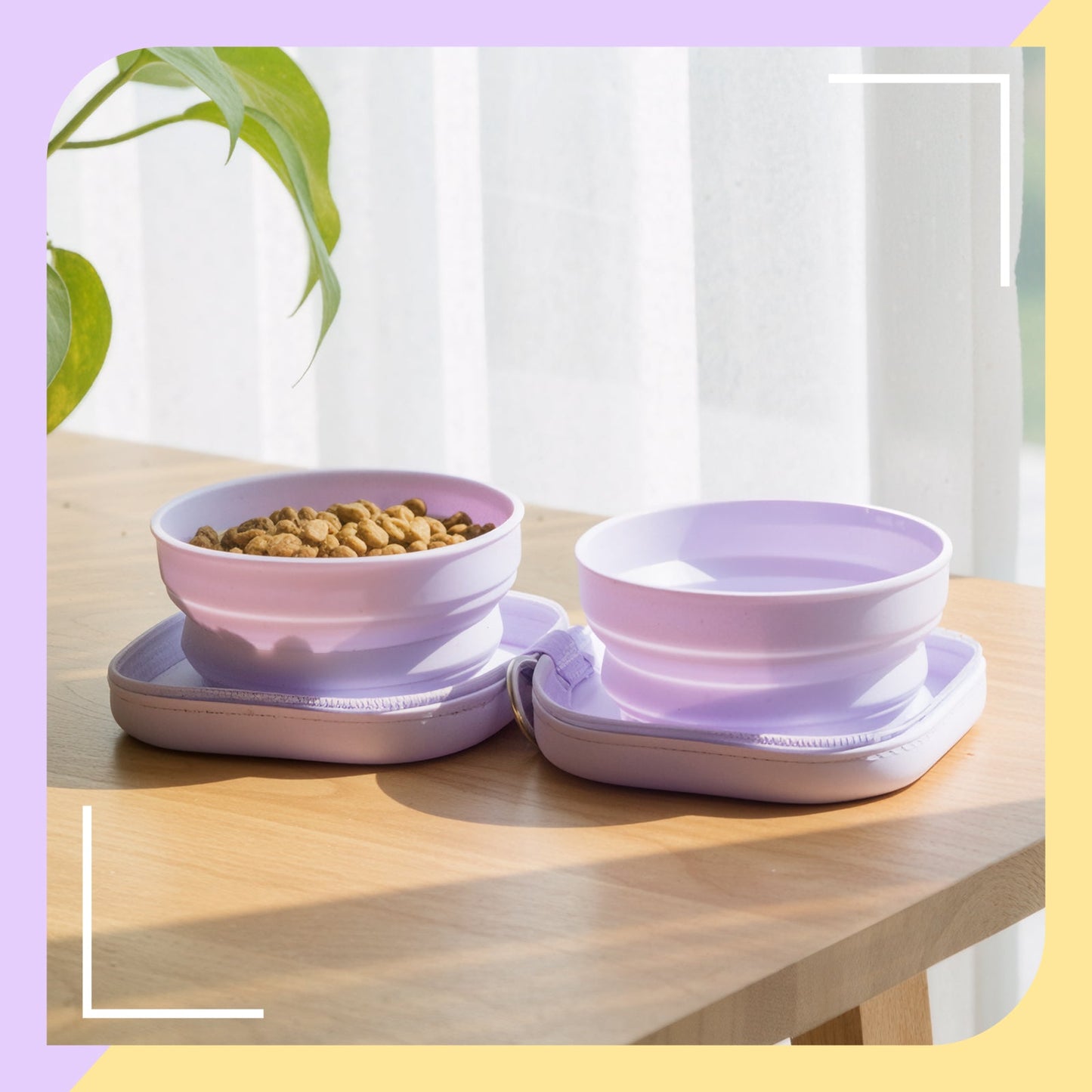 20oz Portable Double Cat Bowl – Travel-Friendly Dual Pet Feeder for Food and Water