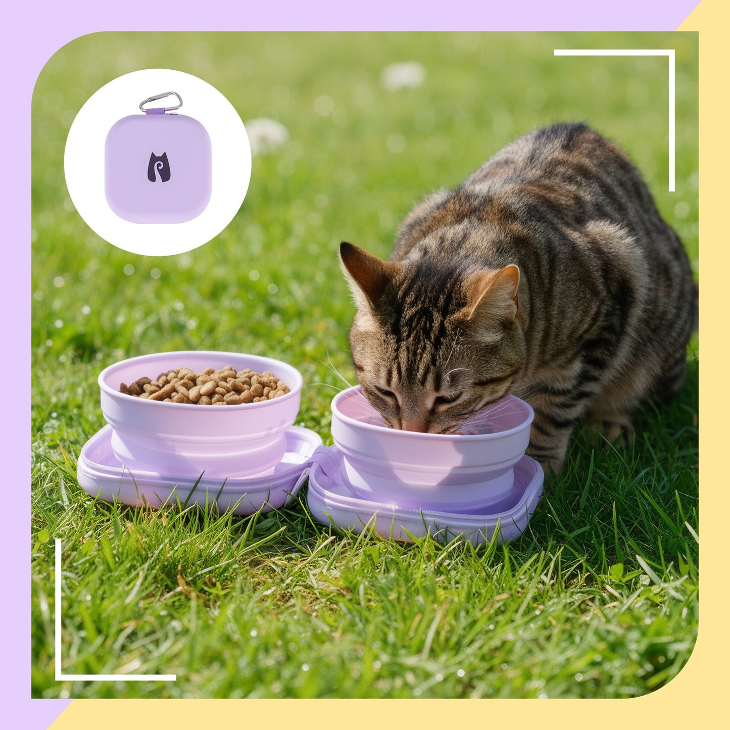 20oz Portable Double Cat Bowl – Travel-Friendly Dual Pet Feeder for Food and Water